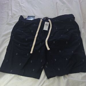 Banana Republic Factory Navy Blue Men's Flat Front Shorts